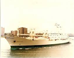 Image result for Timorbeige 1982 Fleet