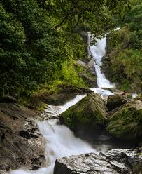 Irupu Falls · Free Stock Photo