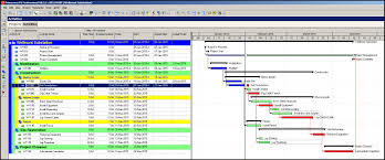 primavera p6 displaying total float of activities on the