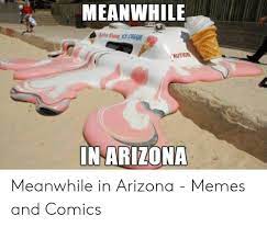 Meanwhile Eat Ree Ice Cream Aution In Arizona Meanwhile In Arizona Memes And Comics Meme On Me Me