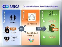 Catheter Ablation Versus Best Medical Therapy In Patients With Persistent Atrial Fibrillation And Congestive Heart Failure Circulation Arrhythmia And Electrophysiology
