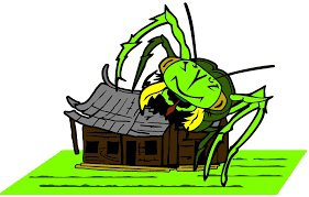 The home protection plan safeguards your home against the vast majority of pests. Home Protection Pest Control Residential And Commercial Pest Control Experts