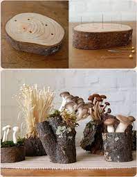 The Cutest Mushroom Diy For Forest Wedding Decor Budgetbrides Diywedding Craftyweddingplanning Weddingcraf Mushroom Decor Mushroom Crafts Moss Centerpieces
