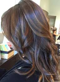 This makes the subtle highlights more effective and the colour spectrum appears. Chocolate Dark Brown Hair Color With Highlights Novocom Top