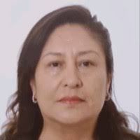 50+ "Isabel Hinostroza" profiles