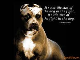 Outside of a dog, a book is man's best friend. Dog Fighting Quotes Quotesgram
