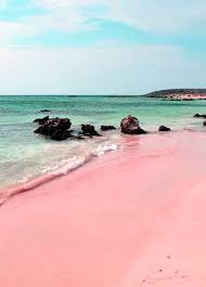 Nassau Bahamas White Sand Beaches Are Beautiful Pink Sand Beaches Take It To A Whole New Lev Pink Sand Beach Bahamas Pink Sand Beach Pink Sand Beach Hawaii