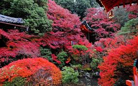 Kyoto Garden Hd Wallpaper Kyoto Garden Kyoto Japan Kyoto