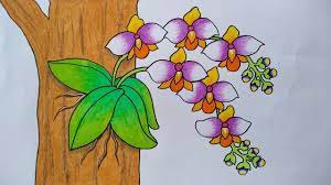 Menggambar bunga anggrek menggunakan corel draw. Menggambar Bunga Anggrek Di Pohon Cara Menggambar Bunga Anggrek Ungu Youtube