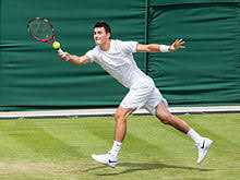 'all i do is count my millions, that's all i do. Bernard Tomic Wikipedia
