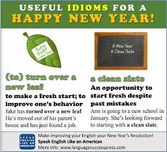 Happy New Year Idioms Idioms Learn English Confusing Words