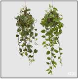 Trova piante finte pendenti in vendita tra una vasta selezione di su ebay. Fiori E Piante Edg Idea Pazza Arredamento E Oggettistica