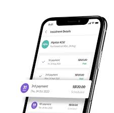 Pay Later  Installment