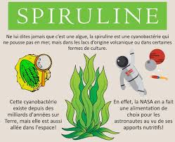 Resultats De Recherche D Images Pour Spiruline