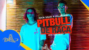 Então faca download de todas músicas grátis. Pitbull De Raca Mc Jacare Igor Sales Prod Dany Bala Videoclipe Oficial Youtube