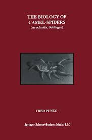 What is more, camel spiders don't brush their teeth. Https Link Springer Com Content Pdf 10 1007 2f978 1 4615 5727 2 Pdf