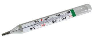 Easy and accurate reading of the body temperature can be made with these mercury filled thermometers. Why You Need A Manual Fever Thermometer Preparedness Advice