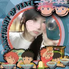 Sabine's Gull** ***Xema sabini*** **Nikon Gear**