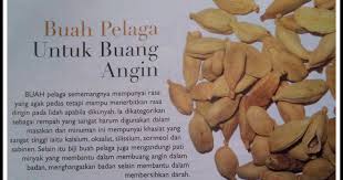 We did not find results for: Buang Angin Dengan Buah Pelaga