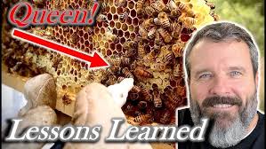 BackYardHive New DVD: Alternative Beekeeping Using the Top Bar Hive and The  Bee Guardian Methods