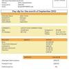 The salary slip is different for industry and organizations. 1
