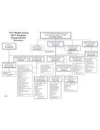 Hospital Organizational Chart Template Free Download