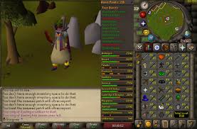 Osrs pet tier list maker. Coxie On Twitter 1 Month Update Red Helmet Still Strapped On Slayer Grind Clues Have Begun On Stream Finish Up Mta For 77 Magic 72 Mining Via Sandstone Crafting Until 80 For