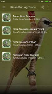 Trucukan atau sering disebut burung trucuk memiliki suara kicauan yang tidak kalah merdu dengan suara burung cucak rowo. Kicau Burung Trucukan For Android Apk Download