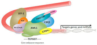 Digital echo delay & repeat control. Cancers Free Full Text Core Binding Factor Leukemia Chromatin Remodeling Moves Towards Oncogenic Transcription Html