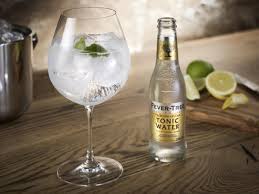 Vodka is a good substitute for gin in most drinks, and the vodka tonic is no exception. 10 Best Drink Mixers The Independent The Independent