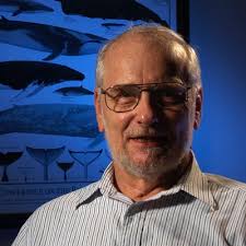Dr. Søren Andersen Talks about Working with Marine Mammals by Aquatic  Mammals