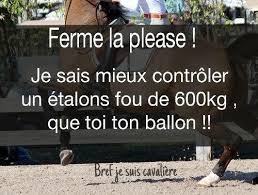 Au quotidien, un cavalier de la garde républicaine consacre plusieurs heures par jour aux répétitions pour les représentations. Resultat De Recherche D Images Pour Citation De Cavalieres Citations Equines Citations Equitation Citations Equestres