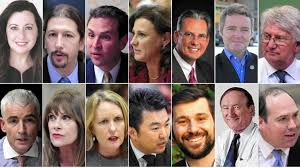 Candidates vying for Tom LaBonge's seat try to break out of the pack