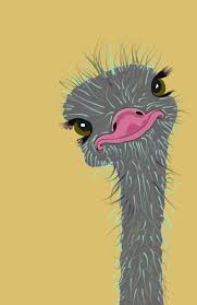 Ostrich Devekusu Tryout Art Procreate App Procreate