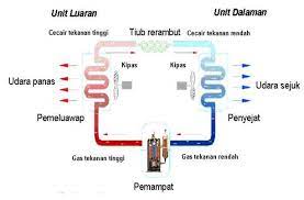 Kunci utama penyebaran adalah disebabkan oleh penghantaran yang didorong daripada sistem pengudaraan penyaman udara. Nota Sistem Penyaman Udara