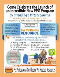 Barbara is the president of the pet professional guild australia. The Ppg Virtual Summit And A Wag Giveaway