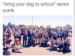 Take Your Dog To School Senior Prank Senior Year Pranks Senior Pranks School Pranks