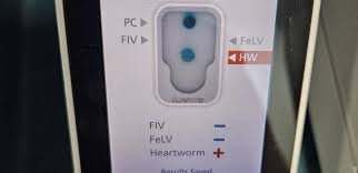 Image result for Triple Test Score