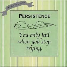 Image result for persistence