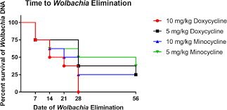 No appointment, now wait, no hassle. Efficacy And Side Effects Of Doxycycline Versus Minocycline In The Three Dose Melarsomine Canine Adulticidal Heartworm Treatment Protocol Parasites Vectors Full Text