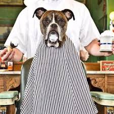 This cut is a classic, but. Gabby S Barber Shop Book Appointments Online Booksy