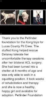 Pitcrewapplication@gmail.com more about us recommended content. Luca Ount Y Pit Crew Com O Aa Thank You To The Petfinder Foundation For The Kong Toys For Lucas County Pit Crew The Stuffed Kong Helped Rescue Delaney Tolerate Her Uncomfortable