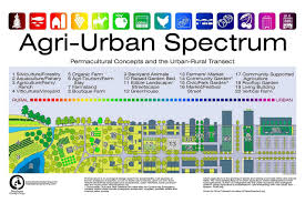 Agri Urban Spectrum Designed By Stephen S Planning This Too Colourful But Clever Infographic Illustrates Different Sustainable Agricultural Methods At Various