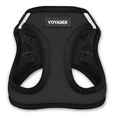 Voyager Step In Air Dog Harness All Weather Mesh Step In Vest Harness For Small And Medium Dogs By Best Pet Supplies Black Base Medium Chest