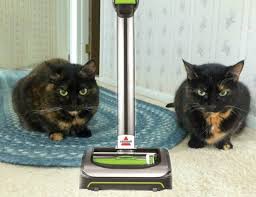 Bissell Air Ram Cordless Vacuum Cleaner Review Bissell Air Ram The Life Changing Magic Of A Cordless Vacuum Cleaner Cordless Vacuum Cordless Vacuum Cleaner Vacuums