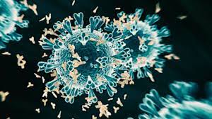 The lambda coronavirus variant was first identified in peru, where it is now dominant. Lambda Coronavirus Variant What Experts Are Learning Cnn
