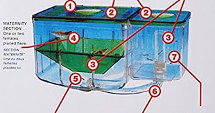 Fish Aquarium Nursery Automatic Fish Hatchery Breeding Box System 5 1 4 In X 4 In X 4 1 2 In Fish Breeding Aquarium Baby Fish