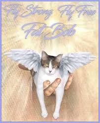 Maybe you would like to learn more about one of these? Best Friends Cremation Home Facebook