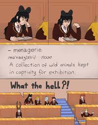 The Humans Were Really Betting On The Faunus Never Finding A Dictionary Rwby Funny Rwby Memes Rwby