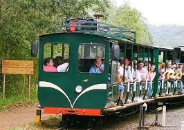 El Tren Ecológico de la Selva consiste en un tren que brinda el servicios  de transporte dentro del parque nacional Iguazú en la Provincia de  Misiones, Argentina. Este tren tiene una capacidad